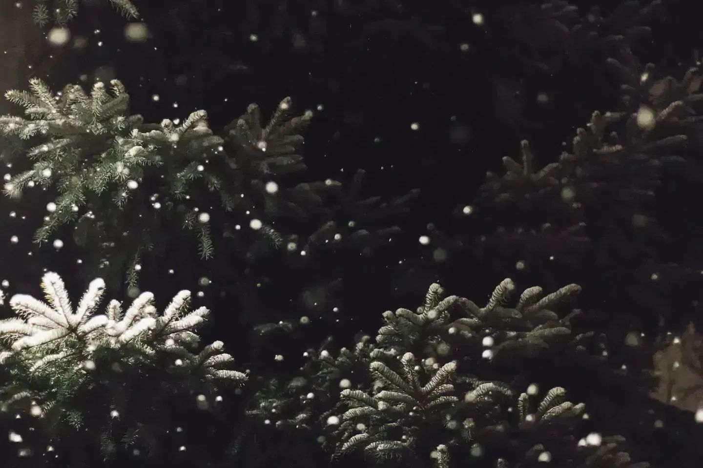 gran-med-lite-sno-pa-grenarna