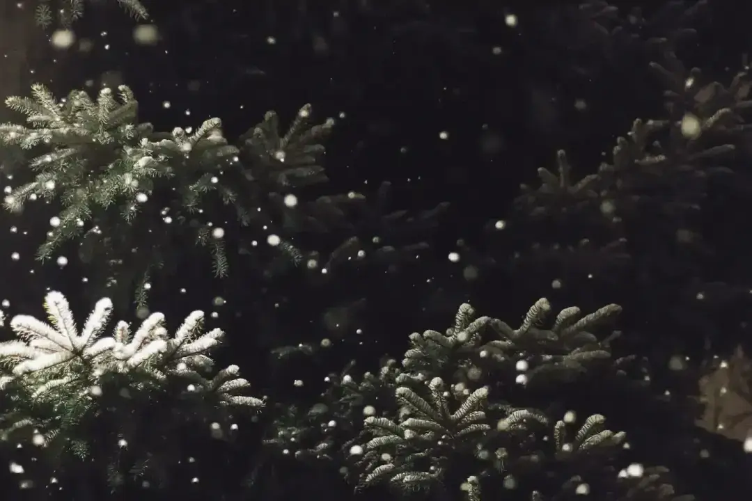 gran-med-lite-sno-pa-grenarna
